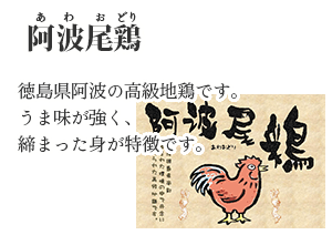 阿波尾鶏