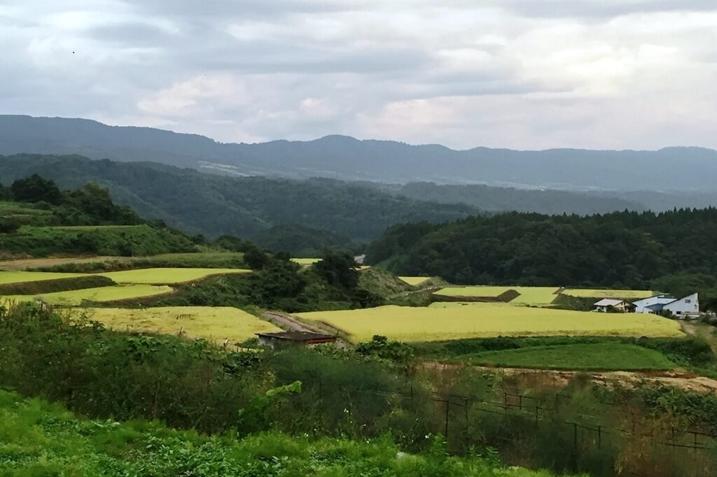 長野県産にじのきらめき7年産25㎏/ヤマト運輸